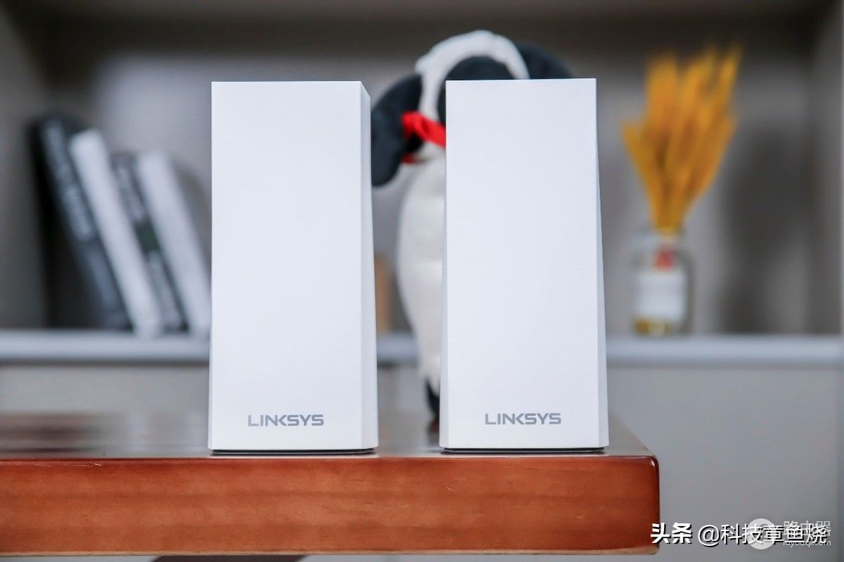 普通小白买路由器关注哪些点?领势带你一次搞明白