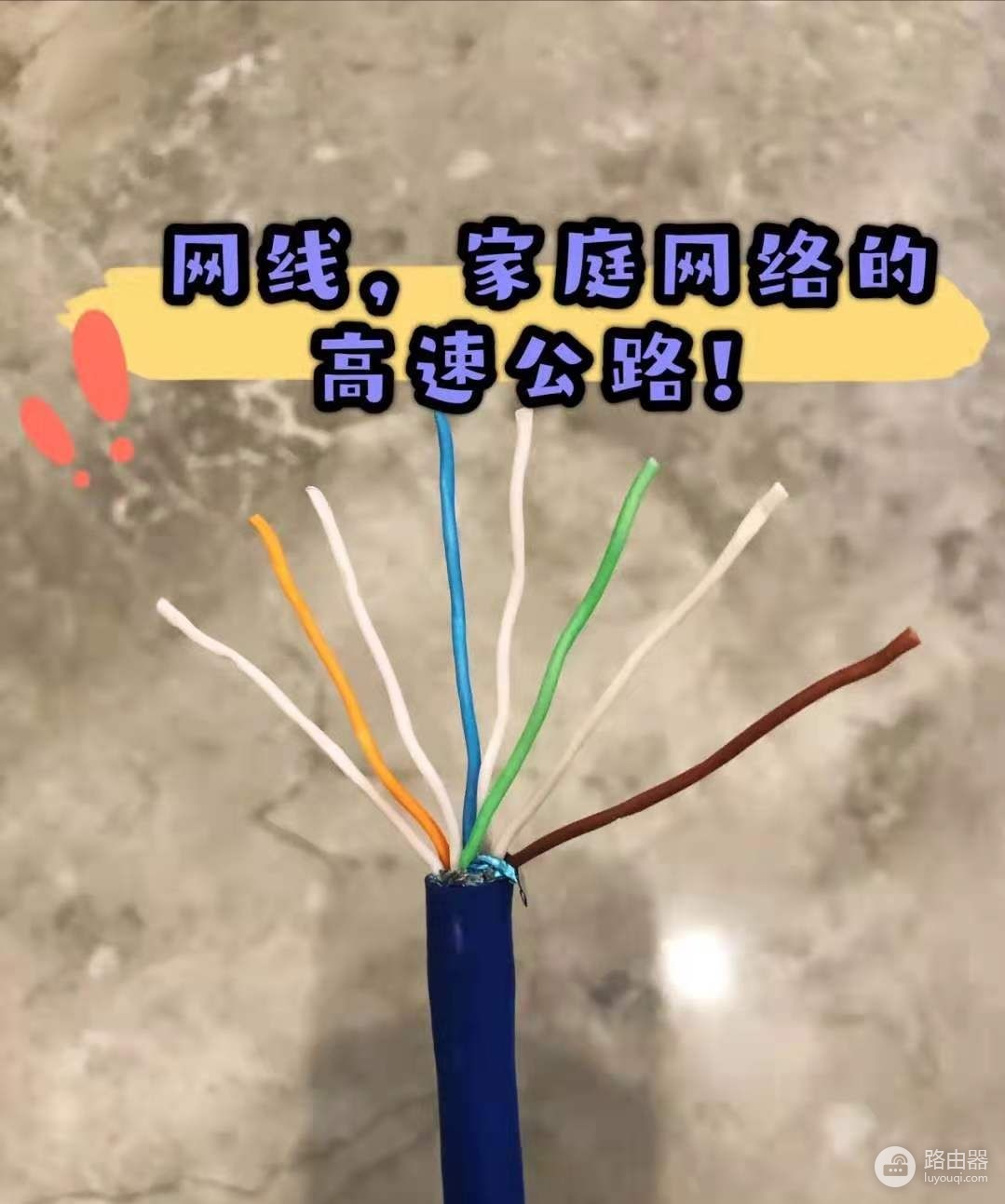 怎样做到信号满格上网(怎么让网络满格)