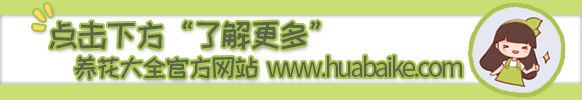 把路由器放高处效果好(路由器可以放在哪个高度)