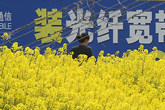 移动宽带晚上网速慢怎么办(移动宽带半夜网速慢)