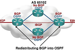 动态路由协议BGP·基本实验(动态路由协议配置实验)