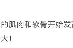 WIFI有没影响(wifi对人有没有影响)