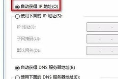 不能自动获取ip(不能自动获取ip地址)