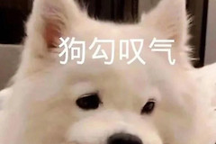 如果您家的宽带已升级至200M(宽带由100升级到200)