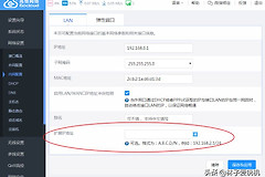高恪固件网络设置中内网配置扩展IP地址(高恪固件怎么设置上网)