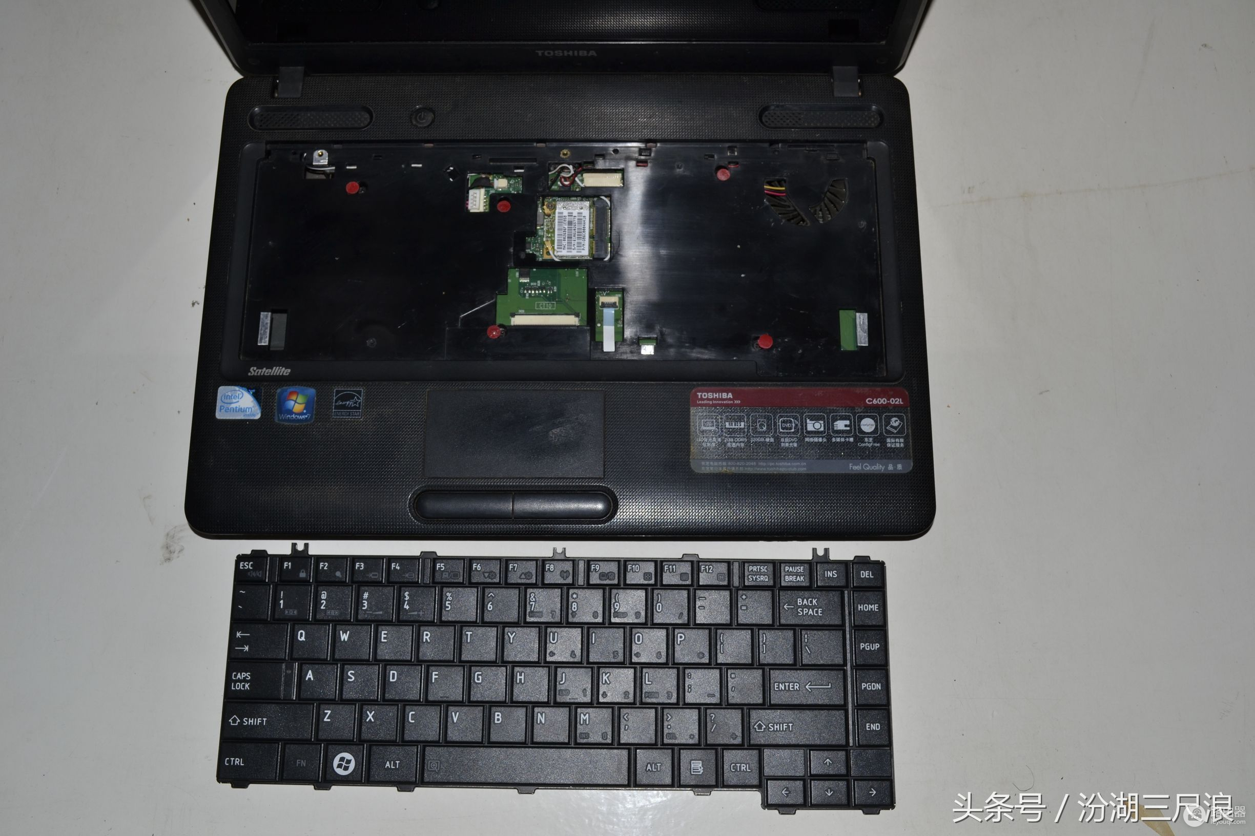 东芝C600笔记本电脑拆机图解(如何拆解笔记本电脑)