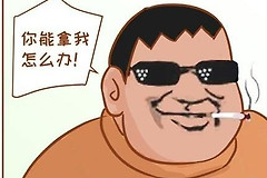 一次性在自己电脑上安装了所有国产流氓软件(一次性在自己电脑上安装了所有国产流氓软件怎么办)