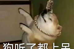 无法开机的电脑如何备份文件(无法开机的电脑如何备份文件夹)