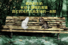 从电脑小白到高手必知的10个操作(从电脑小白到高手必知的10个操作方法)