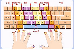 电脑打字的正确手法(电脑打字的正确手法视频)