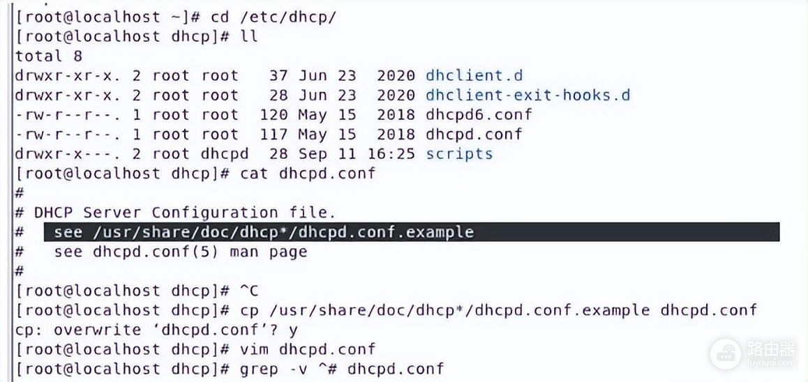Linux搭建DHCP服务的详细步骤