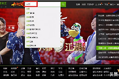 爱奇艺在线观看怎么下载视频(电脑如何下载爱奇艺视频)