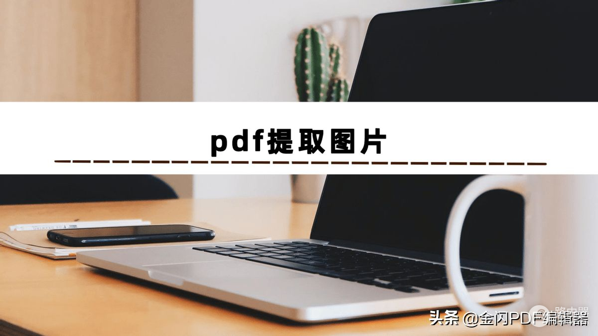 如何在PDF文件中提取图片(pdf文件的图片怎么提取)