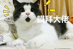 这可能是你见过最有趣的电脑壁纸工具(有趣的电脑壁纸软件)