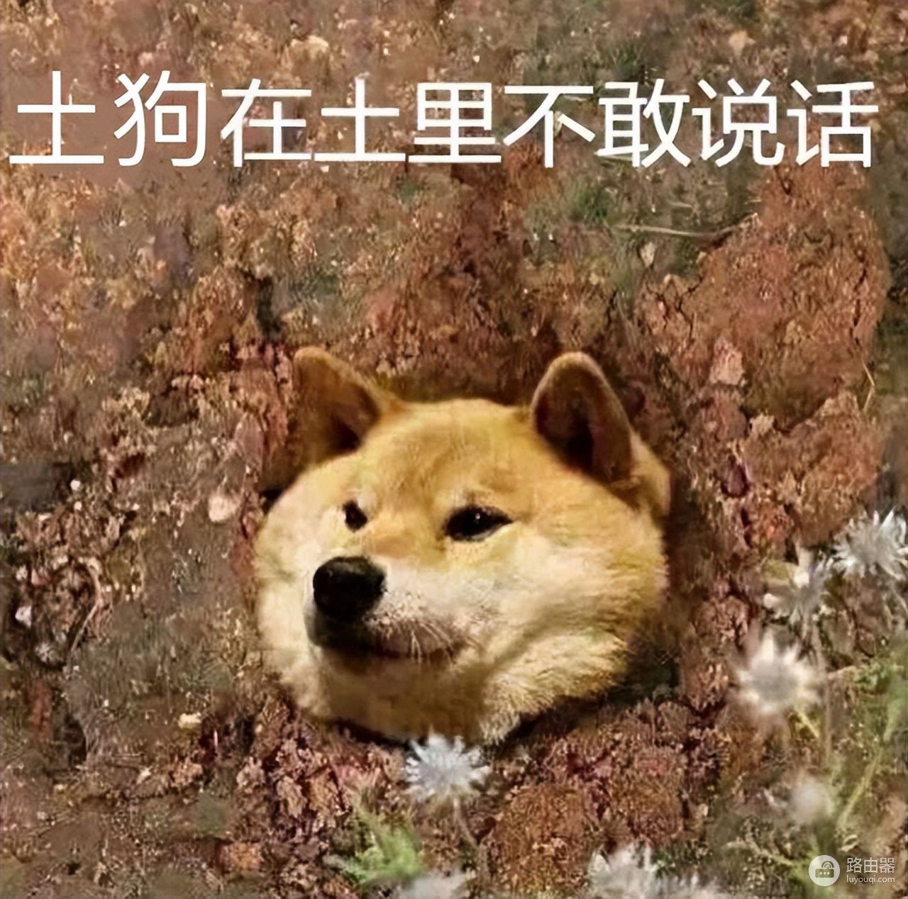 技术白痴在家搞了个简易录音棚(家庭自制简易录音棚)