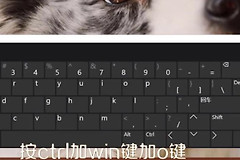 台式电脑键盘锁住了怎么办(如何锁住电脑键盘)
