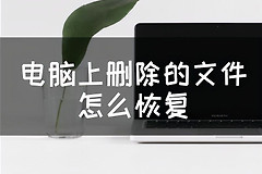 电脑上删除的文件怎么恢复(如何恢复电脑删除软件)