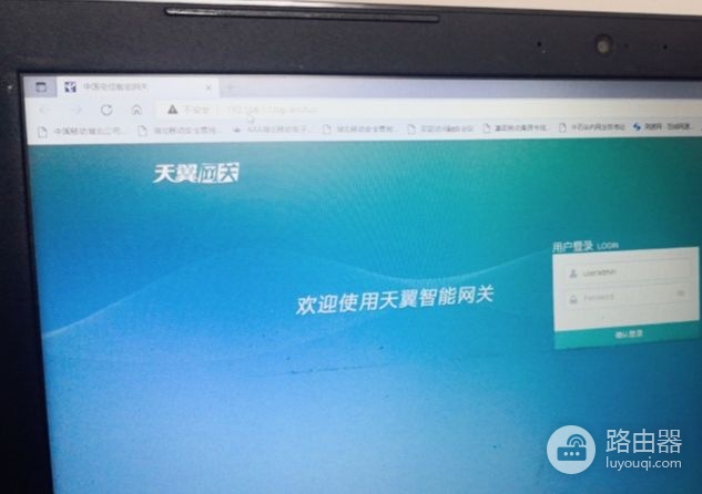 二层网络环路的排查及处理(二层网络环路的排查及处理方法)