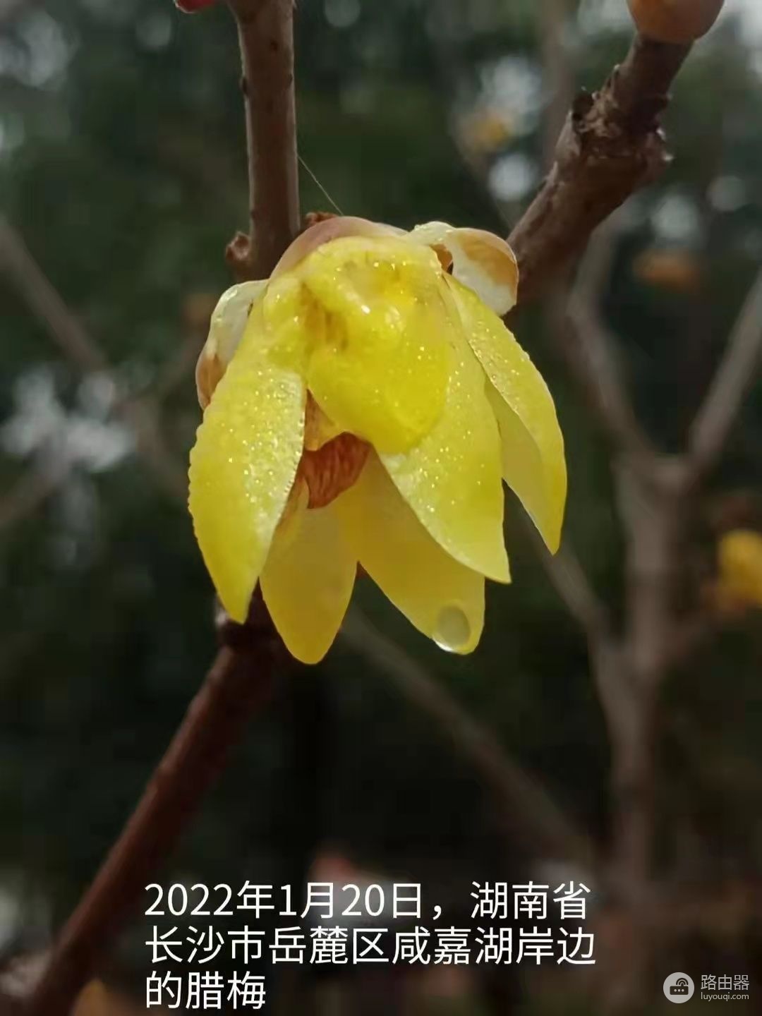 有的电脑开机有一个小棍棍转半天,检测网卡咋去掉来