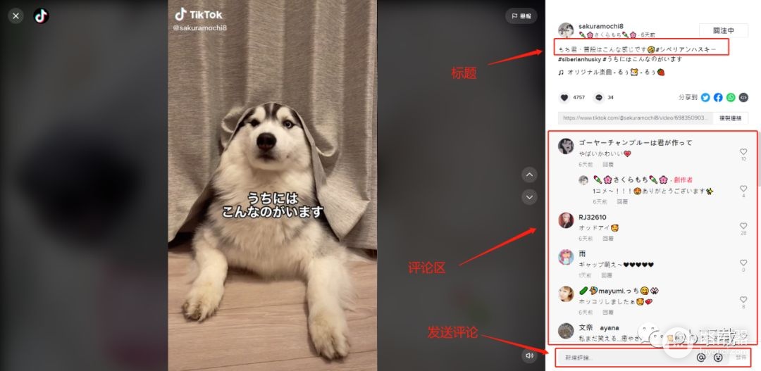 如何使用电脑浏览TikTok(如何使用电脑浏览器扫描二维码)