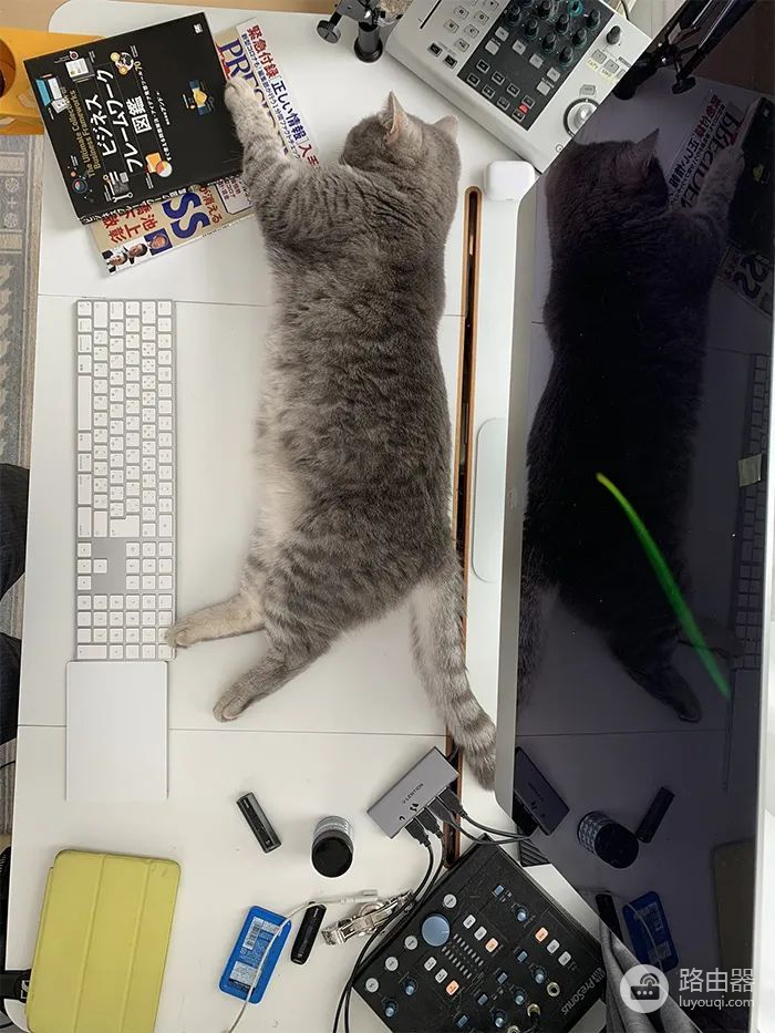 针对猫咪总凑到电脑前捣乱的世界难题，这位小哥给出绝佳解决方案