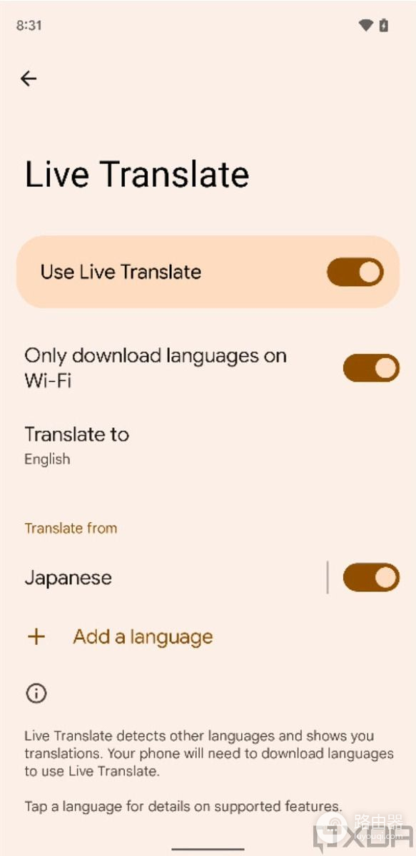 Pixel 6 Live Translate：结合了Google最好的翻译功能