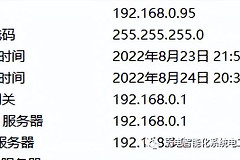DNS是什么，应该如何设置？