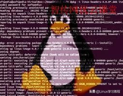 linux如何查看安装了哪些内核(怎么查看linux系统内核)