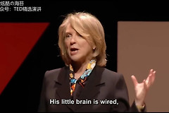 如何利用好TED演讲(电脑如何播放演讲)