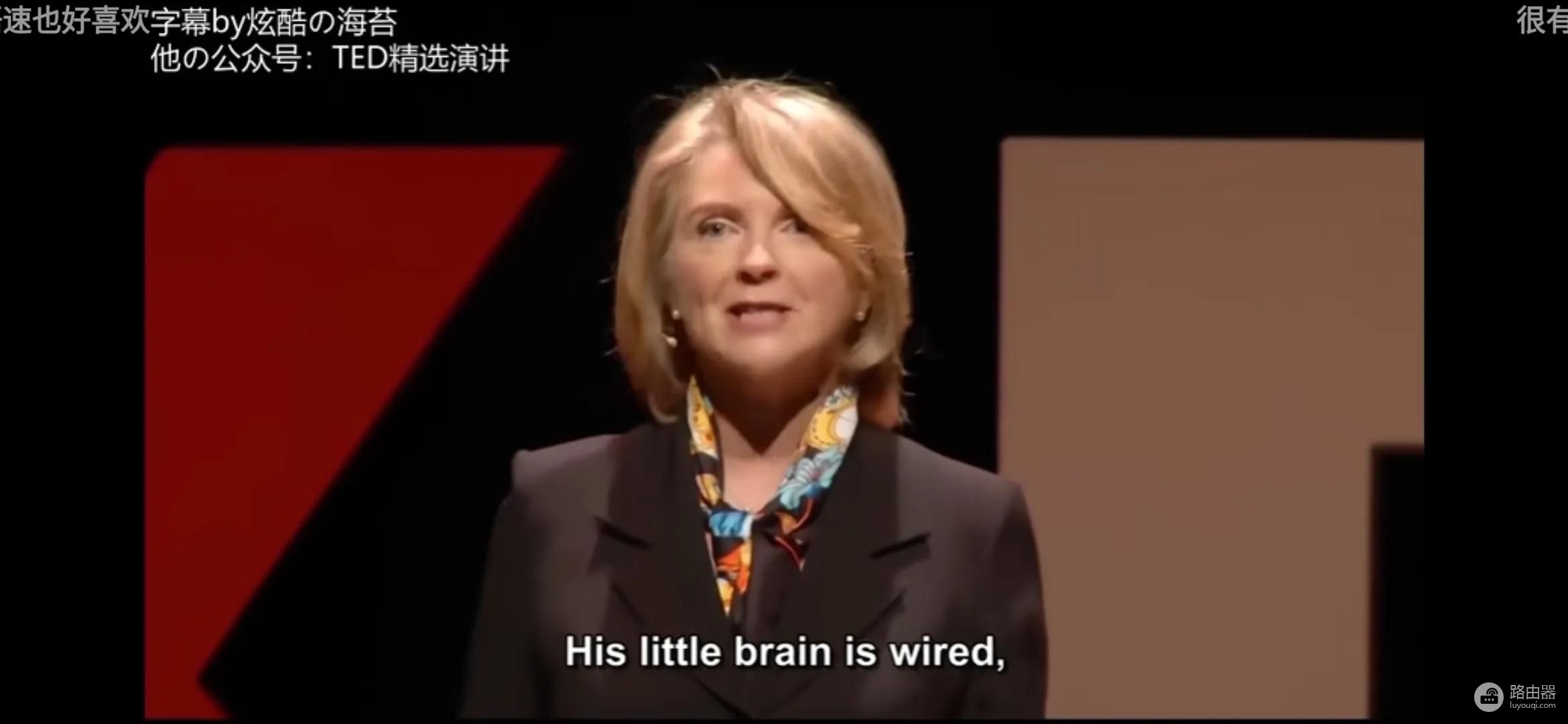 如何利用好TED演讲(电脑如何播放演讲)