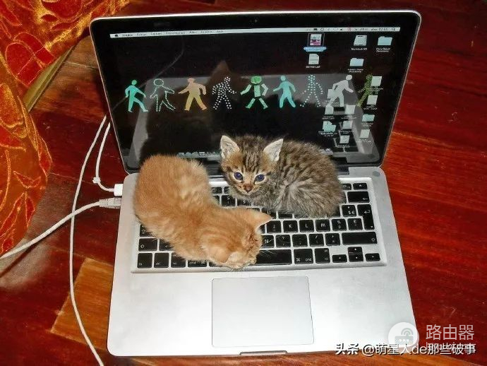 铲屎官给猫咪配个专属的电脑(铲屎官给猫咪配个专属的电脑怎么配)