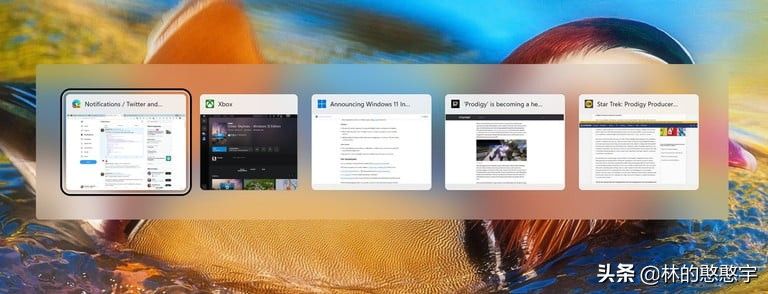 Windows 11中对Alt+Tab的窗口切换效果更改更美观了