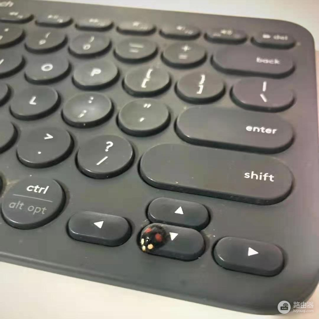 ipad外接键盘使用技巧(ipad外接键盘如何使用)