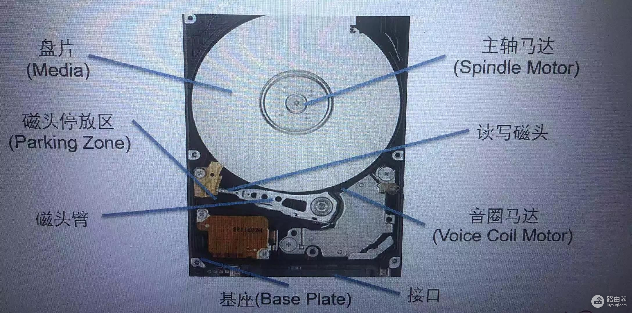 消失的硬盘容量(消失的硬盘容量有多大)