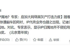 显示ip归属地能够防止作假吗(ip地址能作假吗)
