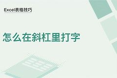 电脑上表格上怎么打字啊(Excel表格技巧—怎么在斜杠里打字)
