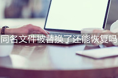 电脑文件重名名怎么恢复(同名文件被替换了还能恢复吗，同名文件被覆盖替换了怎么找回来)