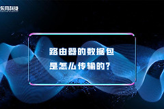 如何利用路由器传输信号(路由器的数据包是怎么传输的？)