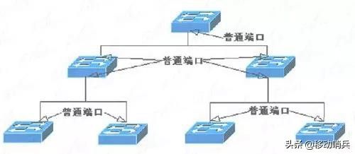 交换机如何与路由器组网(图解交换机与路由器组网)