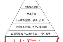 路由器组网还是子母组网(Mesh路由和子母路由，哪个方案更适合中国？)