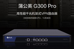 企业路由器异地组网教程(蒲公英发布企业级G300 Pro路由器：小成本实现高性能异地组网)