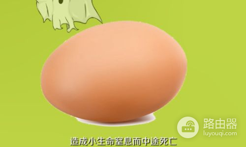 怎么孵化鹦鹉蛋(在家里怎么孵鸡蛋)