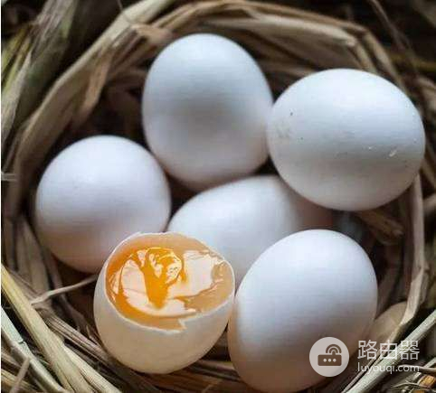 鹦鹉蛋怎么孵化(如何孵化小鹦鹉蛋)