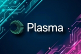 Plasma区块链是什么？专注稳定币支付的Layer 1项目完整解析