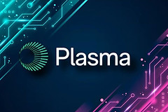 Plasma区块链是什么？专注稳定币支付的Layer 1项目完整解析