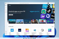 Win11无法连接微软商店解决方法