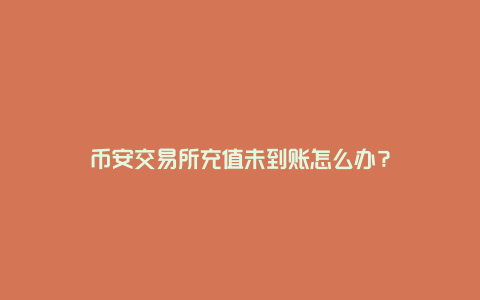 为什么安币充值没到账？90%的问题都能这样解决！