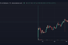 MetaDao暴涨了10倍，它的ICO值的参与吗？