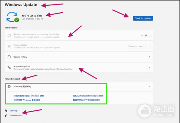 win11 24H2中文语言包安装后显示不全怎么办？系统汉化修复教程