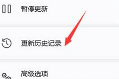 Win11突然出现闪屏情况怎么解决